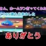 【ドラクエウォーク】配布されたチケットでガチャ65連