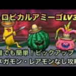 【ドラクエウォーク】ピンチだって楽々ケア トロピカルアミーゴ LV30 簡単討伐法【ドラゴンクエストウォーク】