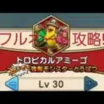 【ドラクエウォーク】強敵　トロピカルアミーゴ　レベル３０　フルオート攻略