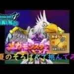 【ドラゴンクエストウォーク】無課金勇者、真夏のそろばんでオオヌシガルーダソロ討伐に挑んでみた！【ドラクエウォーク】
