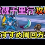 【ドラクエウォーク】覚醒千里行を攻略！おすすめ周回武器と方法は？