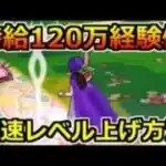 【ドラクエウォーク】時給120万経験値を稼げるレベル上げ方法！覚醒千里行の周回が今熱い！