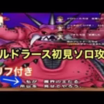 【ドラクエウォーク】ミルドラース初見ソロ攻略