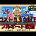 【ドラクエウォーク】マルタリーグ　カメハ　コスト３３０以下　フルオート攻略