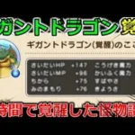 【ドラクエウォーク】速報！ギガントドラゴン覚醒誕生！48時間で覚醒した怪物勇者がいるんだぜ・・！