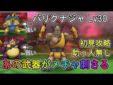 【ドラクエウォーク】バリクナジャ 強敵 Lv30 無課金初見攻略 ○○がかなり刺さる【ざきぽ】