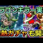 【ドラクエウォーク】ドラゴンキラー装備ガチャ＆復刻ガチャ第2弾が激熱過ぎる件！【スマートウォーク】