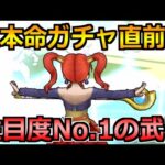 【ドラクエウォーク】次のガチャで大本命の登場か？今、最も注目されている武器！