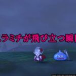 【DQ10】【ドラクエウォーク】コラボイベントの「主役」スラミチが飛び立つ瞬間【短いよ】