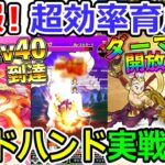 【ドラクエウォーク】ゴッドハンド育成に朗報！　超効率的に育成が可能だぞ！これ！！！上級職の苦労は何だったんだ、、、