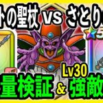 【ドラクエウォーク】強敵エビルプリーストLv30をフルオート討伐！クリフトの聖杖とさとりのしょの性能比較もしました