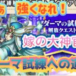 【ドラクエウォーク】なったぞ！大神官レベル３０・強くなれ！嫁のダーマの試練道