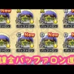 【ドラクエウォーク】【無課金】無課金バッファロン進捗12月4日