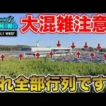 【ドラクエウォーキング】ラーメンEXPO行こうとしたらウォークイベントがヤバすぎた件…