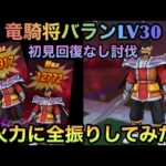 【ドラクエウォーク】竜騎将バラン LV30初見回復なし討伐 火力全振りでゴリ押しました【ドラゴンクエストウォーク】