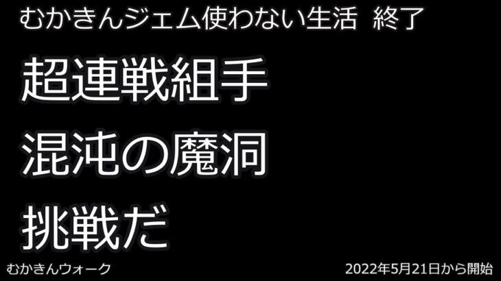 【ドラクエウォーク】連戦組手　混沌の魔洞