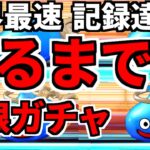 【ドラクエウォーク】ガチャ 復刻 ウロボロスの杖 メドローア 大魔道士装備 2023 招福 新春 ふくびき【ドラゴンクエストウォーク】【攻略】【弱点 】