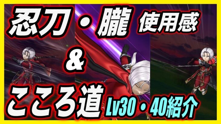 【ドラクエウォーク】ニンジャLv40×忍刀・朧4凸、ざっくりとこんな感じの強さです