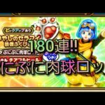 【ドラクエウォーク　ガチャ】ぷにぷに肉球ロッド　180連!!　セラフィ　バイキルト