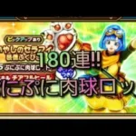 【ドラクエウォーク　ガチャ】ぷにぷに肉球ロッド　180連!!　セラフィ　バイキルト