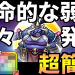 【ドラクエウォーク】呪術師マリーン 弱点 攻略 フルオート【ドラゴンクエストウォーク】【DQW】【DQウォーク】【ウォーク】【対策】【効率】【周回】【無課金】【初心者】【オート】