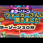 【ドラクエウォーク】キラーゾーン捕捉３０分は〜長い？短い？ウォーカーさんの声集めてみました〜！