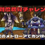 【ドラクエウォーク】どうせメドローアでイケるっしょ！？高難度初見チャレンジ！！