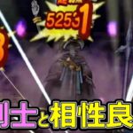 【ドラクエウォーク】魔剣士と相性が良すぎだけど工夫も必要!!【vs月夜の将・強】