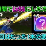 【ドラクエウォーク】たった１本の武器で2週間でLv55になってしまった・・最近この手の武器が環境をぶっ壊してます・・！