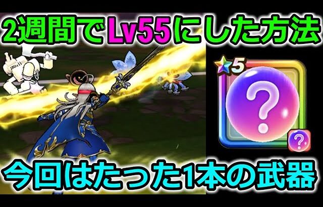 【ドラクエウォーク】たった１本の武器で2週間でLv55になってしまった・・最近この手の武器が環境をぶっ壊してます・・！