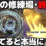【ドラクエウォーク】マジで強くてビビりました…。AOmaxの手持ち装備総動員の清めの修練場・終の社全力攻略！※参考にはなりません