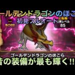 【ドラクエウォーク】ゴールデンドラゴン のほこら 初見フルオート 強敵の未来はどうなる【ドラゴンクエストウォーク】