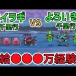 【ドラクエウォーク】週末のレベリング！ヒイラギ千里行？よろいのきし千里行？経験値効率は？？？