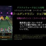 ドラクエウォーク無課金ほこら攻略ゴールデンドラゴン　職業重複縛り