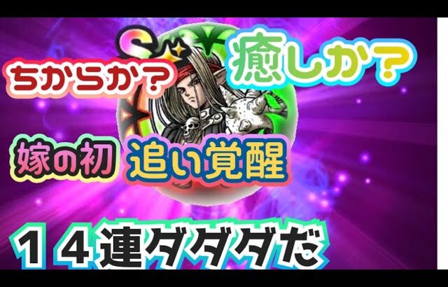 【ドラクエウォーク】ちからか?回復か?嫁のふらふら〜迷いまくりの初追い覚醒１４連