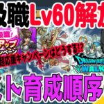 【ドラクエウォーク】特級職レベル上限６０解放でこれからの育成順序はどうする!?上級職は!?