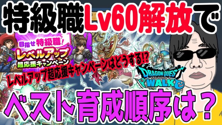 【ドラクエウォーク】特級職レベル上限６０解放でこれからの育成順序はどうする!?上級職は!?