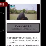 【ドラクエウォーク】乱雑日記風（スマートウォークで武器性能初見、アンケート回答など）【ドラゴンクエストウォーク】