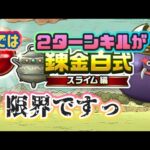 【ドラクエウォーク】私の力では２ターンキルが限界！錬金百式初日やってみた結果！！