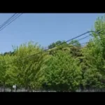 ドラクエウォークしながらダイエットウォーキング！