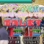 【ドラクエウォーク】いい加減大神官になってくれ。。ｂｙゆん