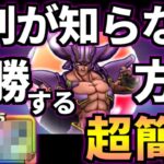 ドラクエウォーク【超簡単】デュラン フルオート 攻略【ドラゴンクエストウォーク】【DQW】【DQウォーク】【弱点】【対策】【オート】