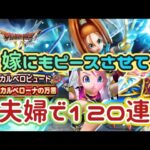 【ドラクエウォーク】【夫婦でDQW】泣いても笑ってもDQW６ラストガチャ！でろーカルベルビュート