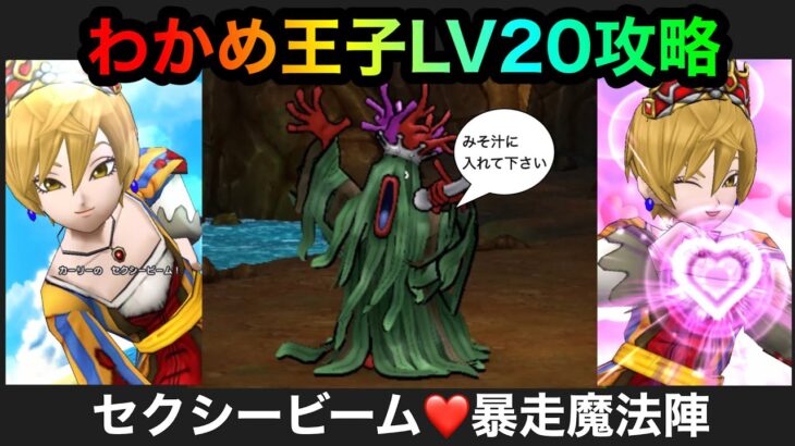 【ドラクエウォーク】わかめ王子LV20⭐︎呪文パーティーで攻略してみた⭐︎