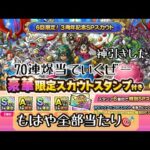 あえてWPUではなくこっちを引いていくー🙌無課金のワイには全てが大当たり🎯/《ドラクエタクト》