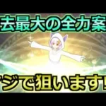 【ドラクエウォーク】次に本気で狙うガチャ装備について！これが出ればガチで狙います！