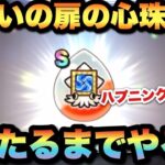 【ドラクエウォーク】狙うなら今！？期間限定で確率アップ！