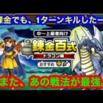 錬金百式ドラゴン編　無課金でも、1ターンキルしたーい。[ドラゴンクエストウォーク]