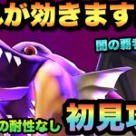 【ドラクエウォーク】闇の覇者竜王にはアレが効く！？1日1回の耐性なしで初見で攻略！