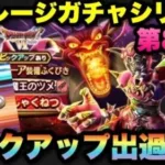 【ドラクエウォーク】カットイン2回！！！マイレージガチャシリーズ89弾！